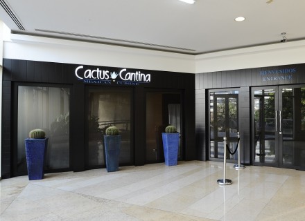 This is the entrance to Cactus Cantina. You can find us via WAFI Mall or via WAFI Pyramids (next to Seville's Restaurant)